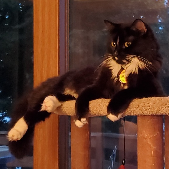 Meet your Posher, Lee - Picture 8 of 8